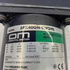 DIGER [5RK40GN-CW2ML]  SERVO MOTOR