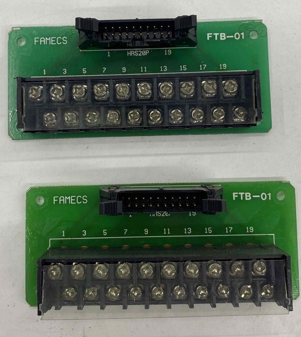FAMECS FTB-01 2X10 20 PİNLİ KLEMENS KARTI