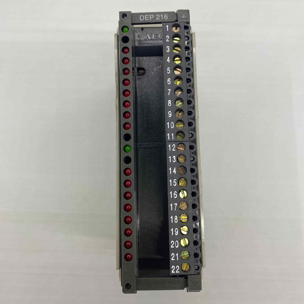 SCHNEİDER DEP 216/AS-BDEP-216 DİG. İNPUT PLC