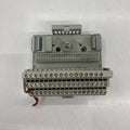 ALLEN BRADLEY 1794-TB3 PLC TERMİNAL BLOĞU