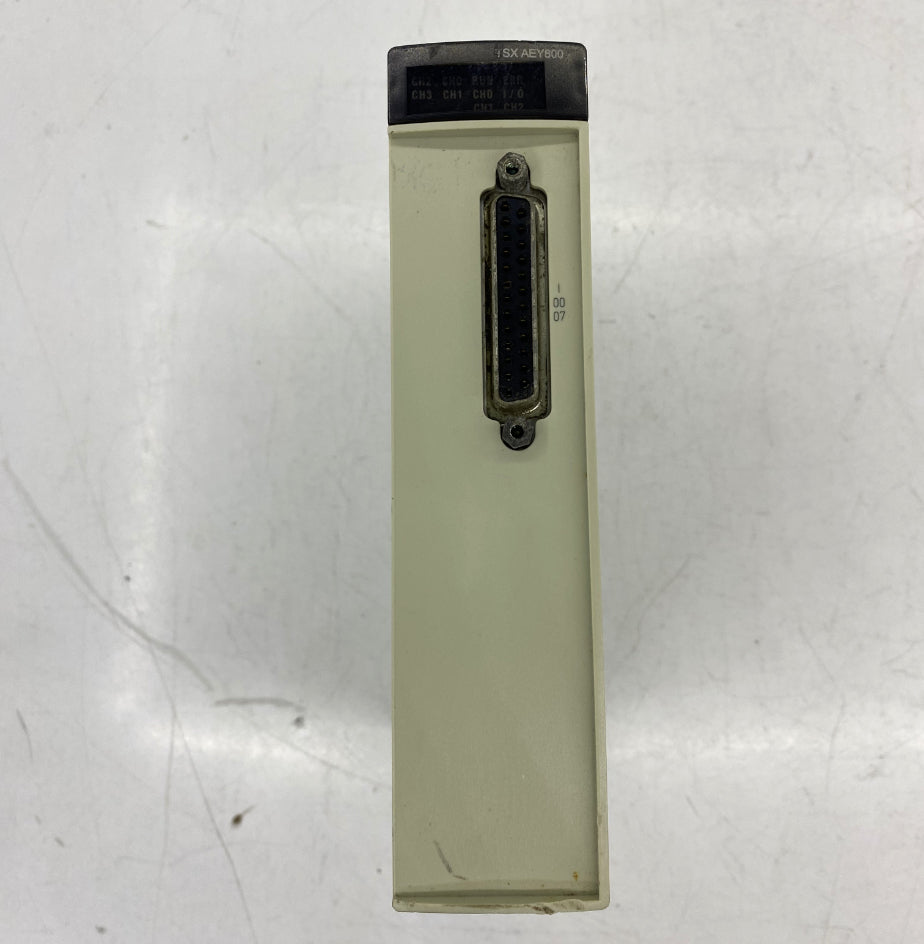 Schneider TSXAEY800 Analog Giriş Modülü