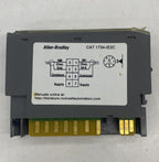 Allen Bradley 1734-IE2C C Analog Giriş Modülü