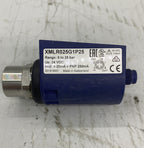 Telemecanique XMLR025G1P25 Basinç Transmitteri