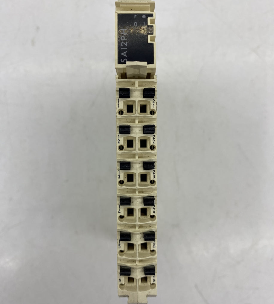 Schneider Modicon TM5 2 Kanal Analog Giriş Modülü - PT100