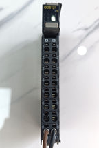 Omron NX Serisi 16 Kanal Dijital Çıkış Modülü - 24VDC Transistör